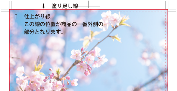 nyukou004_n